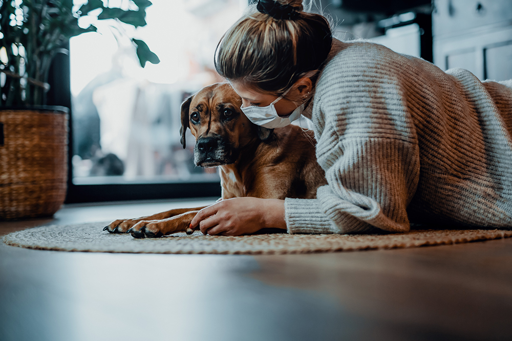 Can You Breathe Dog Hair Into Your Lungs