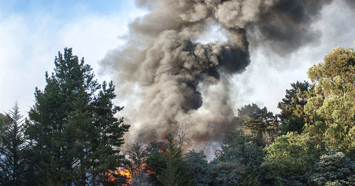 can a cigarette start a wildfire Enjoying the sunshine?  Please don't throw cigarettes onto grass it only takes one spark to wildfire. Help keep Shropshire safe Why Wildfire Smoke Is Now