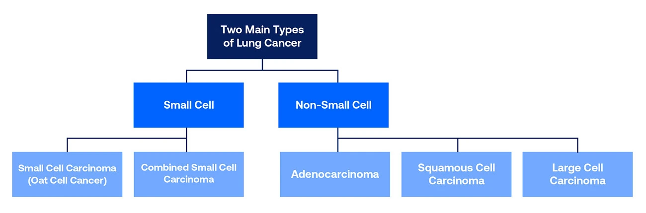 Understanding Lung Cancer Chart 