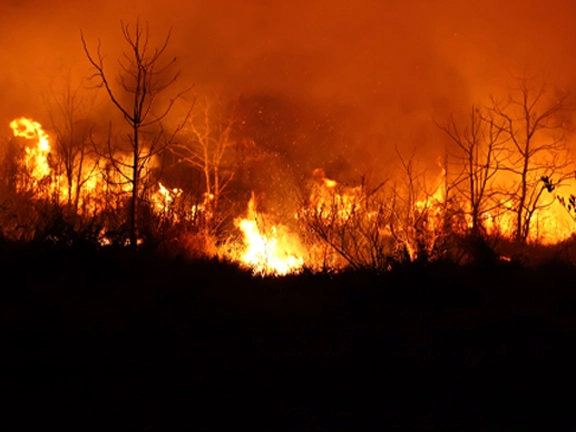 wildfire smoke vs cigarettes Prescribed Burns vs. Wildfires wildfire smoke vs cigarettes Prescribed Burns vs. Wildfires